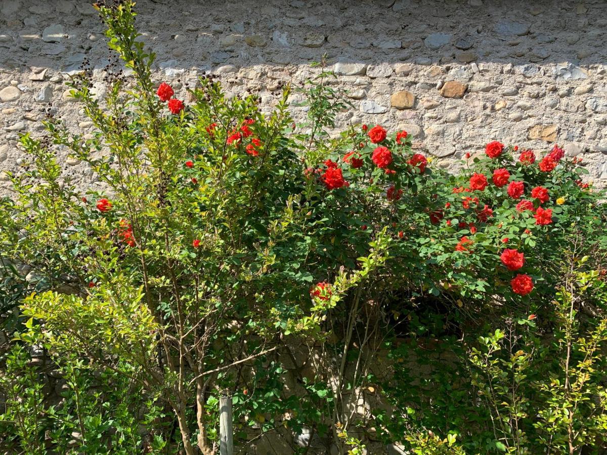 Vallon-Pont-dʼArc Gite Mon Paradis מראה חיצוני תמונה